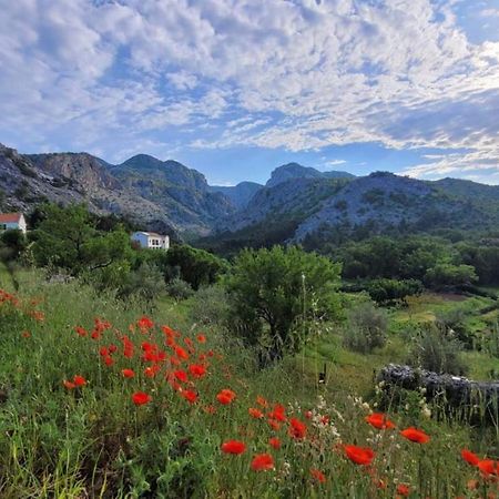 Apartments Paklenica Стариград-Паклениця Екстер'єр фото